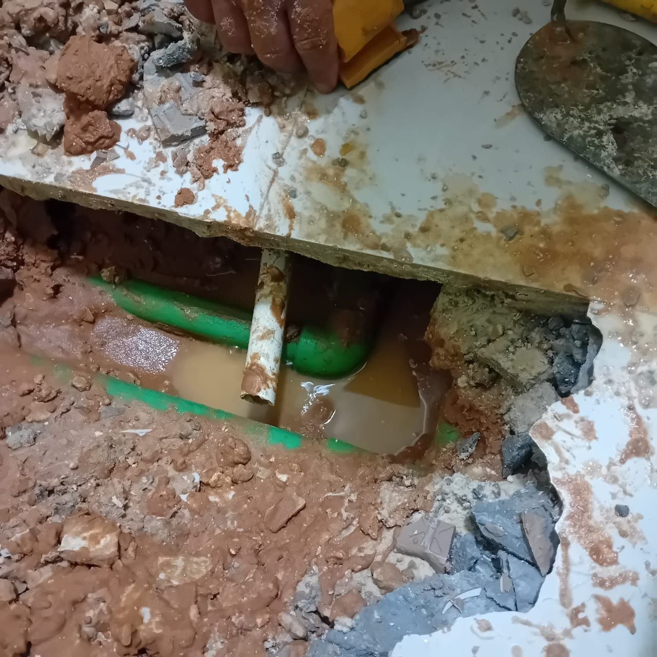 فحص بالكاميرا الحرارية